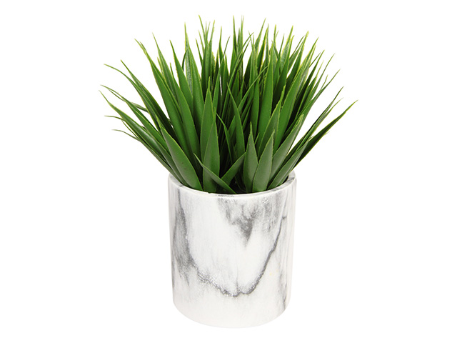 21CM GRASS IN MARBLE POT QTY 6