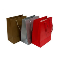 DEL-PAPER GIFT BAG 210G 26X32X12CM 3ASST MEDIUM SOLD QTY12