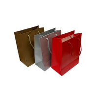 PAPER GIFT BAG 210G 18X23X10CM 3ASST SMALL SOLD QTY12