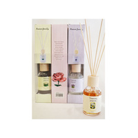 100ML DIFFUSER 2ASST UN6