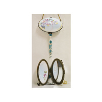 DRAGONFLY MIRROR BOX