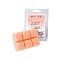 WAX MELTS COCO MANGO 6PK