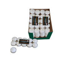 TEALIGHT CITRONELLA 10PK UN24