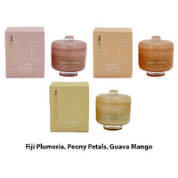 CANDLE JAR SOY 230G 3ASST