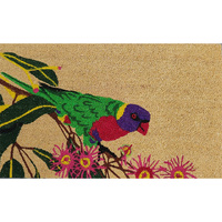 PVC COIR LORIKEET 45X75CM