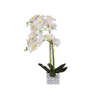 75CM ORCHID FLOWER IN BLUE WILLOW POT