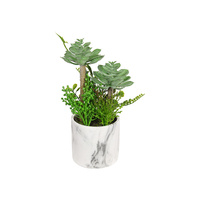 30CM SUCCULENTS MARBLE POT 2ASST QTY 4