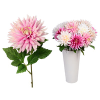 FLOWER GARDEN DAHLIA 4ASST
