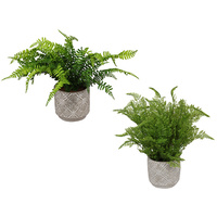 45CM FERN IN MANDALA POT 2ASST ONLY SOLD QTY 4