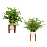 48CM FERN IN WHITE POT ON STAND 2ASST QTY 4