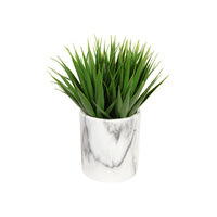 21CM GRASS IN MARBLE POT QTY 6