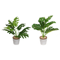 43CM FERN IN MOROCCAN POT 2ASST