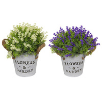 19CM POTTED FLOWERS W/ROPE QTY 6
