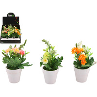 DAISY IN POT 22CM UN9