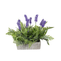 31CM LAVENDER PLANT IN RECTANGLE POT QTY 4