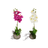 54CM ORCHID IN MOROCCAN POT 2ASST QTY4