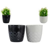 14CM BLACK/WHITE POT 2ASST QTY 6