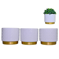 10CM WHITE POT W/GOLD TRIM 3ASST QTY 6