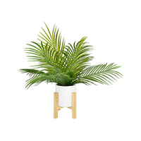 50CM FERN IN WHITE POT ON STAND QTY 2