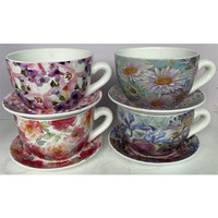 CUP AND SAUCER PLANTER MEDIUM 4ASST