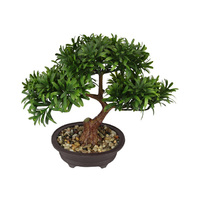 28CM BONSAI TREE IN POT SOLD QTY3