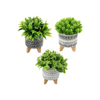 20CM TRIBAL POT ON STAND W/SUCCULENT 3ASST