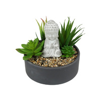 17CM BUDDHA SUCCULENT GARDEN QTY 2