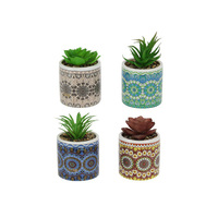 10CM SUCCULENT POT MANDALA 4ASST QTY 8