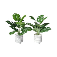 42CM FERN IN WHITE MOROCCAN POT 2ASST
