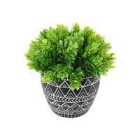 17CM SUCCULENT IN TRIBAL POT 2ASST