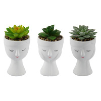 10CM SUCCULENT IN CUTE WHITE FACE POT QTY 6
