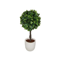 42CM TOPIARY TREE IN CREAM POT ONLY SOLD QTY 4
