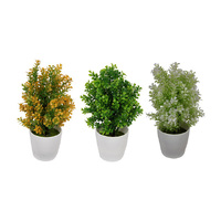20CM PLANT IN WHITE POT 3ASST SOLD QTY 6