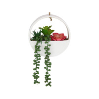 27CM HANGING SUCCULENT GARDEN QTY 4