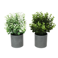 26CM EUCALYPTUS PLANT 2ASST SOLD QTY6