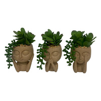 15CM WISE FACE W/SUCCULENT PLANT 3ASST
