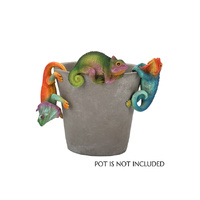 RESIN LIZARD POT HANGER 9.5X7.5X4CM 3ASST SOLD QTY12