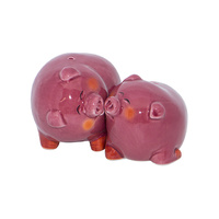 PIG MAGNETIC SALT & PEPPER SET