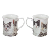 CAT MUG 415CC