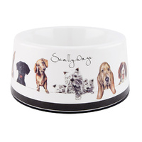 SCALLYWAGS LARGE PET BOWL