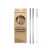 2 STRAIGHT DRINKING STRAW METAL
