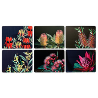 NATIVE GRACE 6PK PLACEMAT