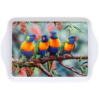 LORIKEET AND B/BRUSH SCATTER TRAY