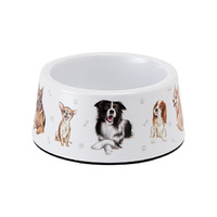 KENNEL CLUB SMALL PET BOWL