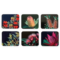 NATIVE GRACE COASTER 6PK