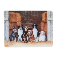 WORKING DOGS HAY SHED SURFACE PROTECTOR