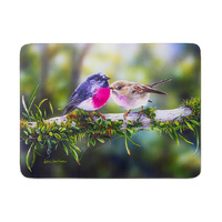 SMALL BIRDS ROBIN SURFACE PROTECTOR