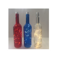 LED BOTTLE LIGHT 2ASST