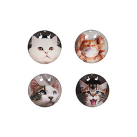 5CM GLS CAT MAGNET 4ASST UN12