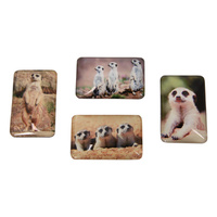 3.5X5.6CM GLS MEERKAT MAGNET UN12